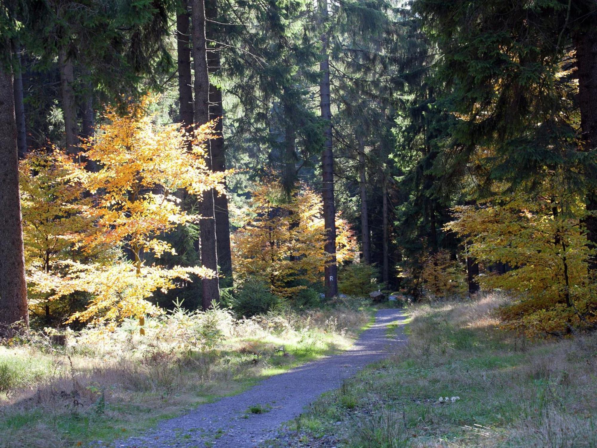 Apartment In Heubach In The Forest Giessubel ภายนอก รูปภาพ