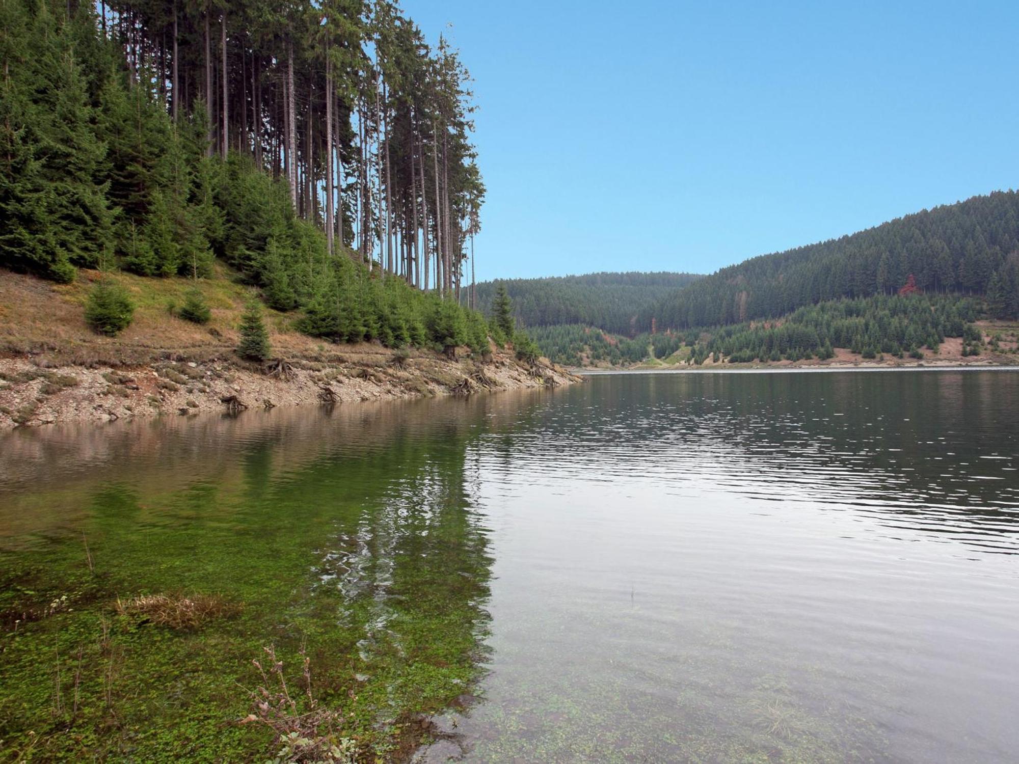 Apartment In Heubach In The Forest Giessubel ภายนอก รูปภาพ